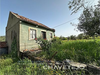 listing-picture-0