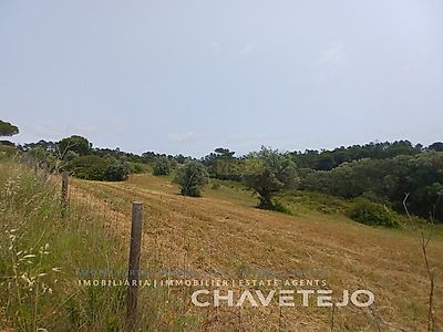 listing-picture-0