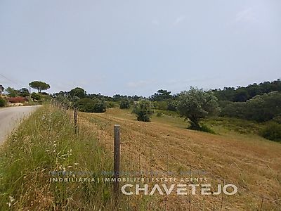 listing-picture-0