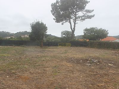 listing-picture-0