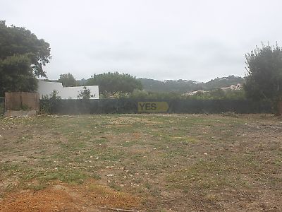 listing-picture-0