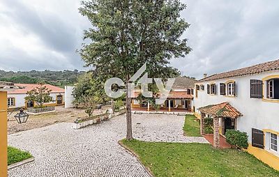 listing-picture-0