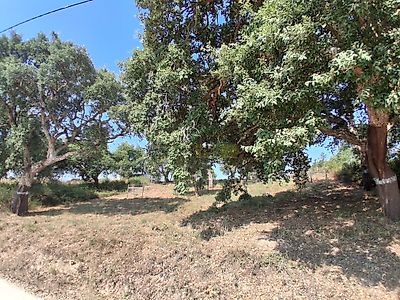listing-picture-0