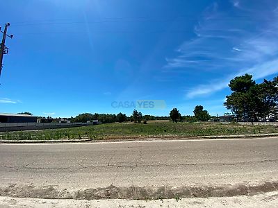 listing-picture-0