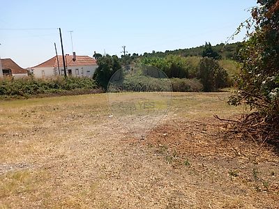 listing-picture-0