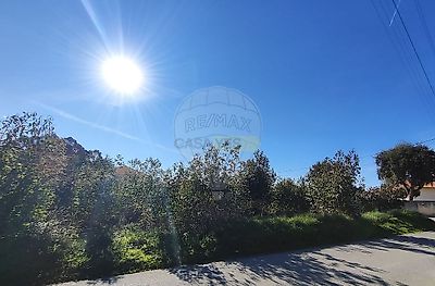 listing-picture-0