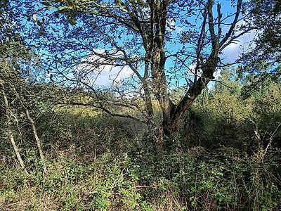 listing-picture-0