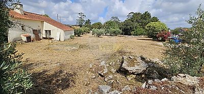 listing-picture-0