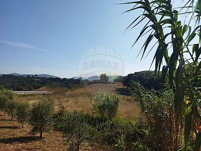 listing-picture-0