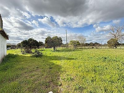 listing-picture-0