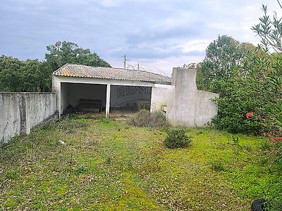 listing-picture-0