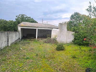 listing-picture-0