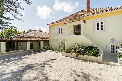 listing-picture-0