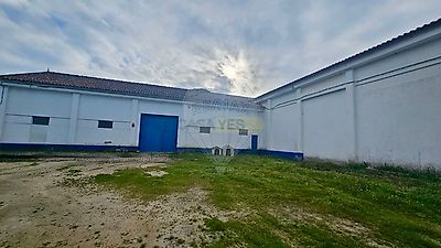 listing-picture-0