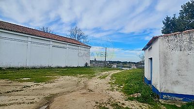 listing-picture-0