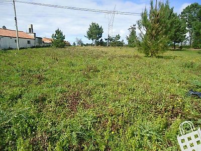 listing-picture-0
