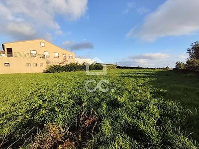 listing-picture-0
