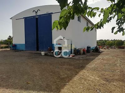 listing-picture-0