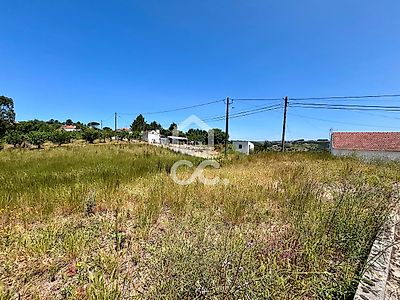 listing-picture-0