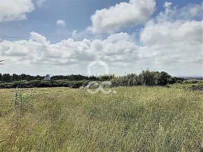 listing-picture-0