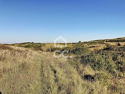 listing-picture-0