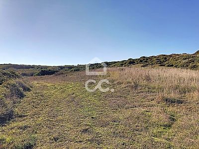 listing-picture-0