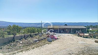 listing-picture-0