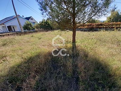 listing-picture-0