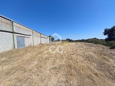 listing-picture-0