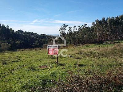 listing-picture-0