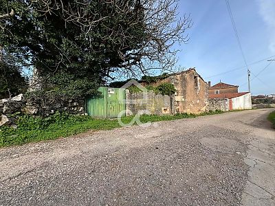 listing-picture-0