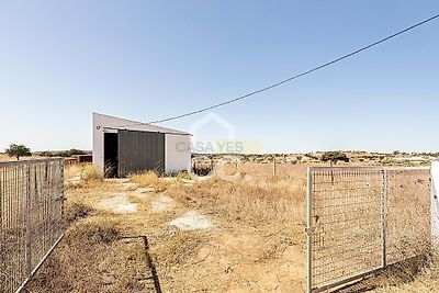 listing-picture-0