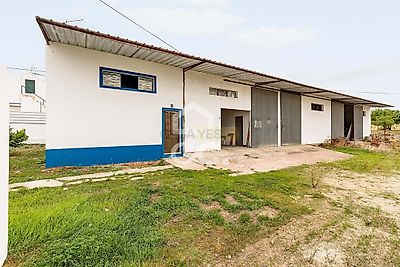 listing-picture-0