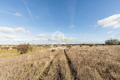 listing-picture-0
