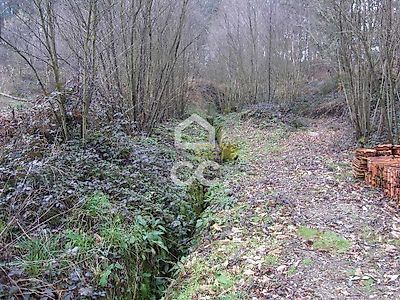 listing-picture-0