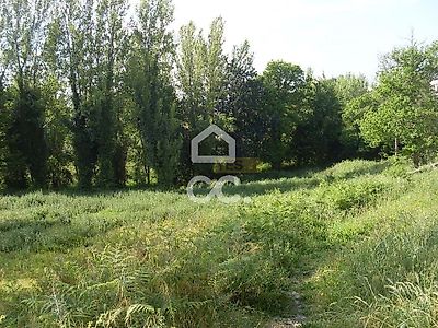listing-picture-0