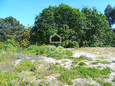 listing-picture-0