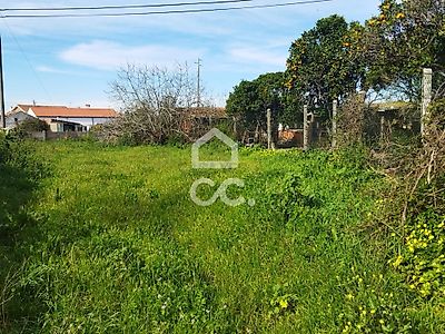 listing-picture-0