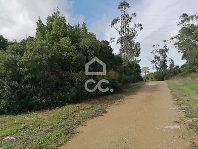 listing-picture-0