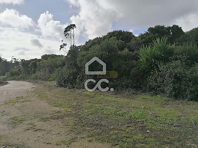 listing-picture-0