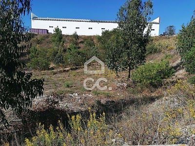 listing-picture-0