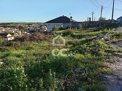 listing-picture-0
