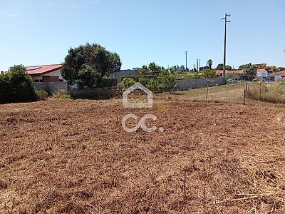 listing-picture-0