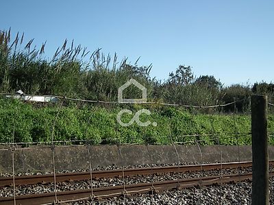 listing-picture-0