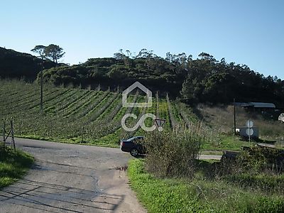 listing-picture-0