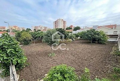 listing-picture-0