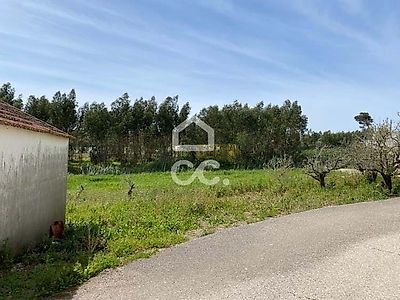listing-picture-0
