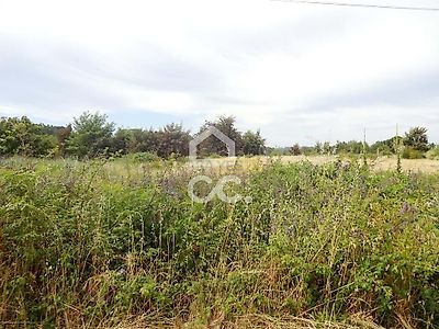 listing-picture-0