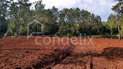 listing-picture-0