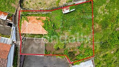 listing-picture-0